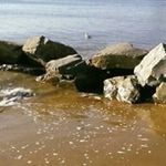 Michèle Picard - @picardmichele2610 - Instagram