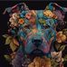 Michelle Piper - Facebook