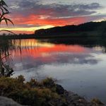 Michele Padden Platt - @michele_padden_platt_0 - Instagram