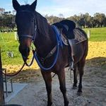 Michele Platt - @platt.michele - Instagram