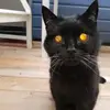 micheleplescia48 - @micheleplescia48 - TikTok