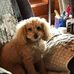 Michele Plummer - Facebook