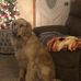 Michele Probst - Facebook