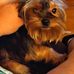 Michele Probst Bowen - Facebook