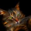 micheleprobst921 - @micheleprobst921 - TikTok