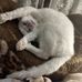 Michele Pyle - Facebook