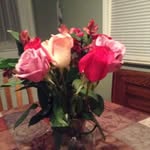 Michele Pyle - @shelly050578 - Instagram