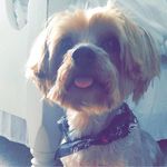 Michele Quick - @72_myshell - Instagram