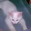 michele rathbun - @michele.rathbun5 - TikTok