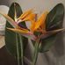 Michele Reiser - Facebook