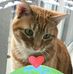 Michelle Reiser - Facebook