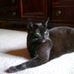 Michele Rioux - Facebook