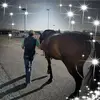 Michelle Robb - @skipper197444 - TikTok