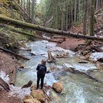Michele Rochon - @bohooutdoorsokanagan - Instagram