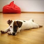Michele_Roperto_NY - @ropertomichele - Instagram