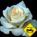 Michele Salgado - Facebook