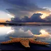 MICHELE DAWN SANDERSON - @michele.dawn.sand - TikTok
