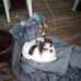 Michele Sargent - Facebook