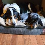 Michele Sargent - @michelesargent - Instagram