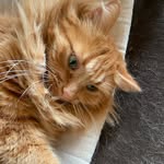 Moi - @michele.schuh1 - Instagram
