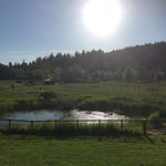 MicheleSchuman - @psychicmediummicheleschuman - Instagram