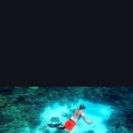 Michele Seidel - @micheleseidel6 - Instagram