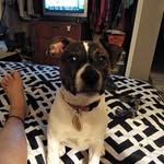 Michele Self - @self6239 - Instagram