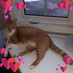 Michele Self Bilsborrow - @selfbilsborrow - Instagram