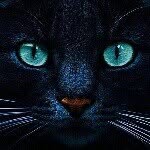 @michele_serafin - Instagram