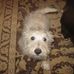 Michele Shank - Facebook