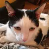 Michele.._Shaw - @michele.._shaw - TikTok