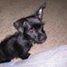 Michele Shick - Facebook