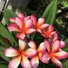Michele Shore Davila - @michele.shore.dav - TikTok