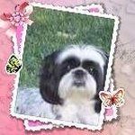 Michele Simard - @michele.simard.585 - Instagram