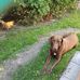 Michelle Simard - Facebook