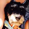 michelle simard💋 - @michelle.simard08 - TikTok