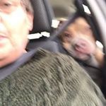 Michele Snyder - @michelesnyder29 - Instagram