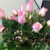 MiChele Solomon - @michele.solomon555 - TikTok