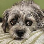 Michele StClair - @mia71301 - Instagram