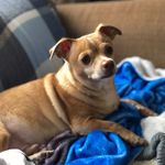 Michele Trout StClair - @tater_tot_the_man - Instagram