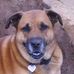 Michele Stratton - Facebook