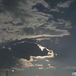 Michelle Stratton - @stratton.michelle - Instagram