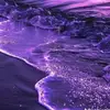 Michelle Swartz - @michelle.swartz0 - TikTok