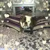 Michelle A Tallman - @michelle.a.tallma - TikTok
