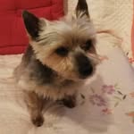 Michele Tardy - @michele.tardy.77 - Instagram