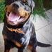 Michele Tessier - Facebook