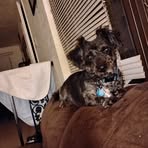 Michele Thomas - Facebook