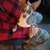 Michele Tower - @michele.tower - TikTok