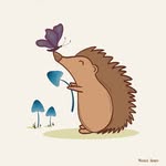 Michele Tracey - @micheletraceydesign - Instagram