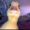 Michele Upton - @defonotleah.554 - TikTok